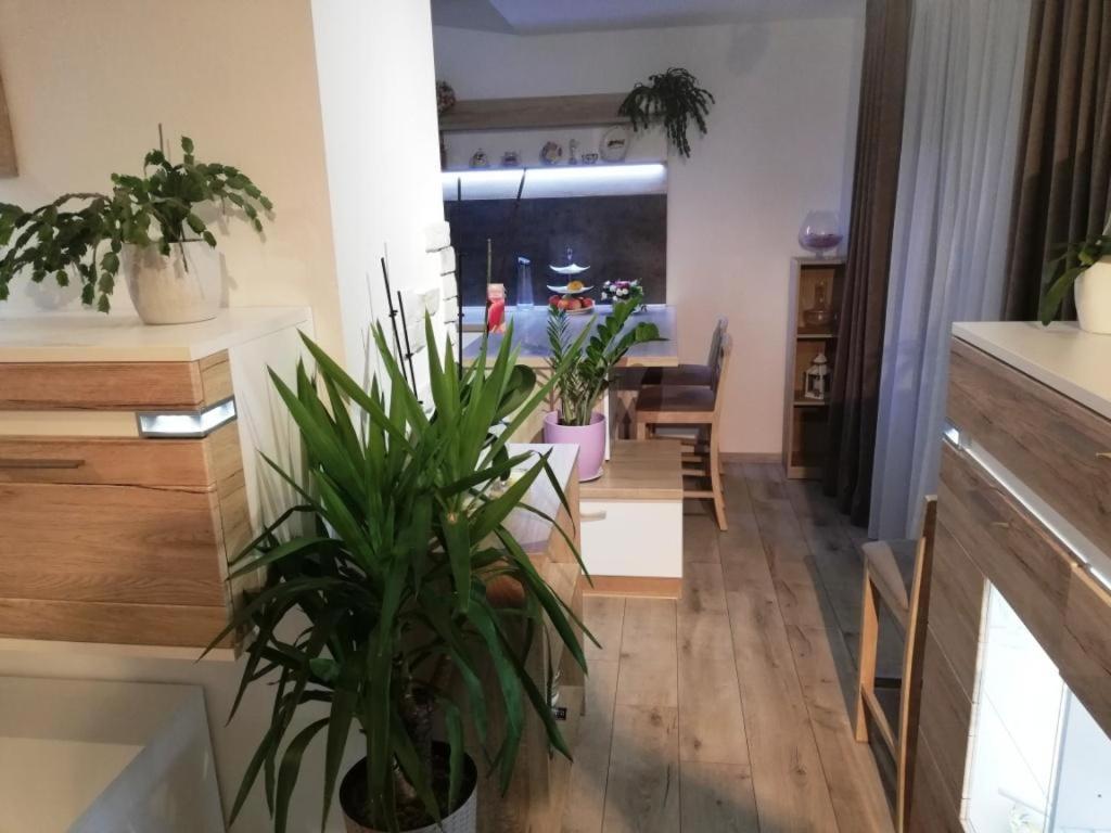 Galeria Stastie Lejlighed Senec Eksteriør billede