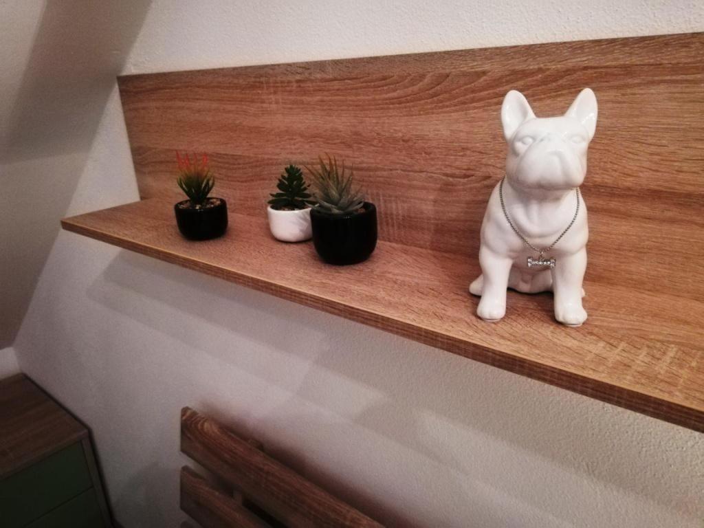 Galeria Stastie Lejlighed Senec Eksteriør billede